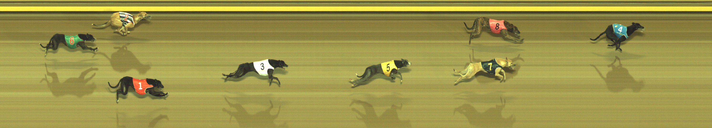 Race result finish photo